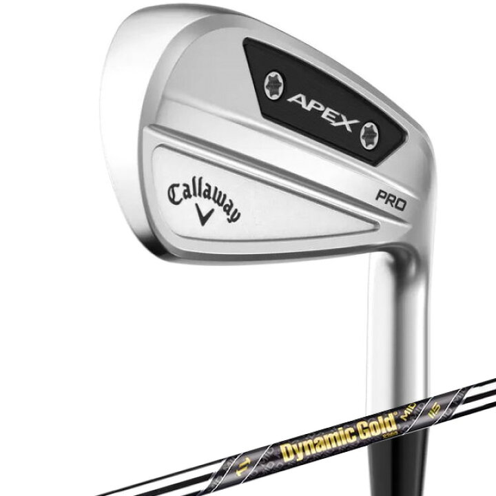 APEX PRO アイアン ゴルフ